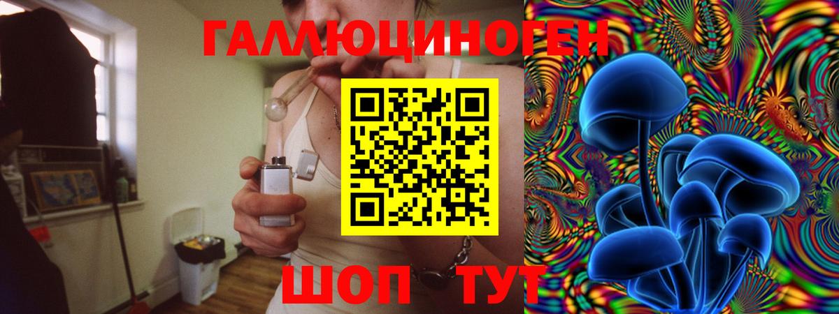 Кандалакша  Галлюциногенные грибы Psilocybe  Вход с VPN 